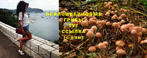 винт Балахна