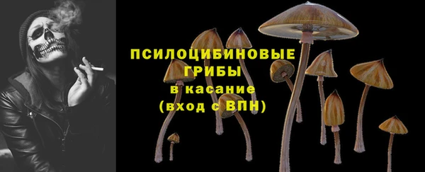 винт Балахна