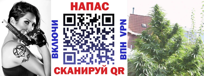 Марихуана планчик  Сатка 